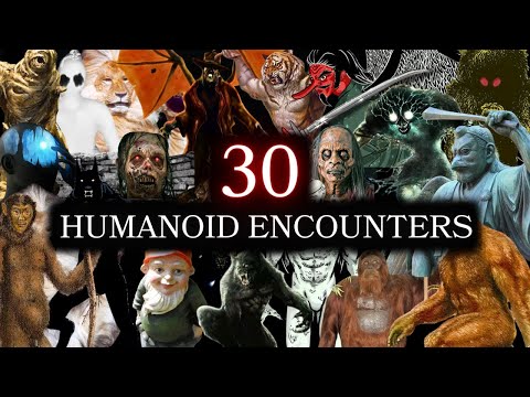 30 Interesting Humanoid Encounters Explained