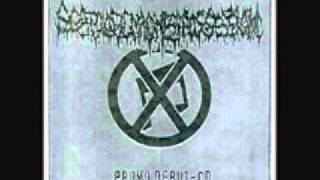 Scatologic Madness Possession - Maggotoxic Carnage