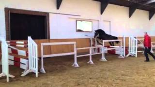 Video af Corde Dacora