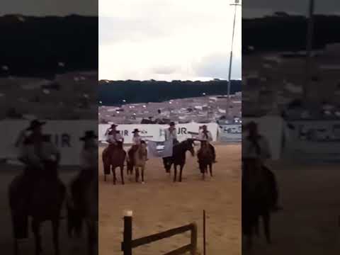 CTG cupim Imbituva PR