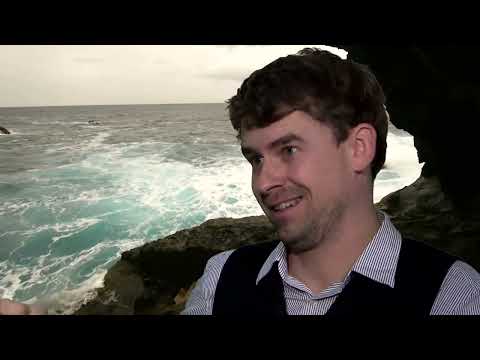 Dunkle Haut, blaue Augen - Prof. Dr. Johannes Krause