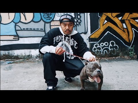 BSNT - Deliquento (freeverse omv)