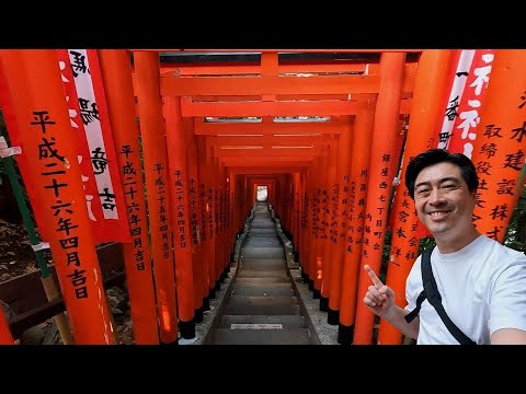 Torii Shrine Gate Tunnel in Tokyo, Japan