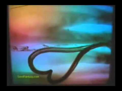 Lil Orxan - Sen aglama