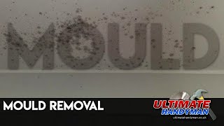 Mould removal