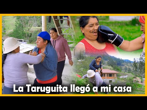 The Taruguita came to my house to claim my love | DON LUCHO