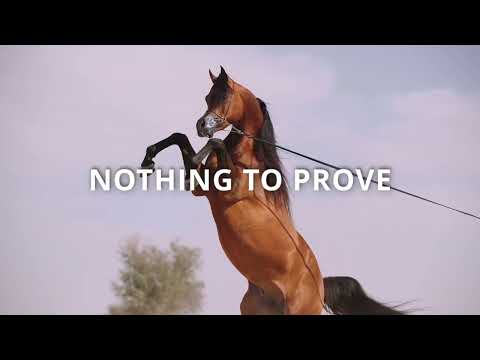 FA EL RASHEEM is back to CENTER STAGE