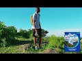 NIVANA MINERAL WATER ADVERT SAMPLE