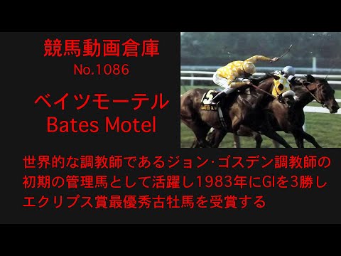 【競馬】ベイツモーテル　Bates Motel【No1086】