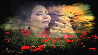 Ana Gabriel  Siete Veces  Siete Mas