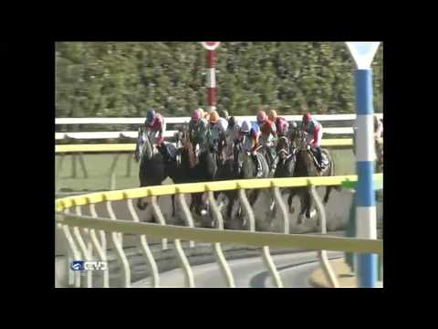 2016.02.21 Hyacinth Stakes (JPN) - Gold Dream