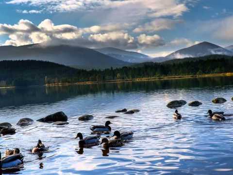 Modal Magic written by Chris Street - Jan 2015