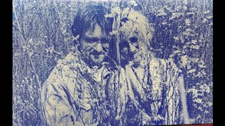 Pushin' Daisies - Push Comes To Shove (1998)