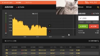 【FX】1万円から始める為替取引【BO】61
