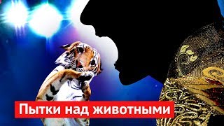 Живодёры просят Путина о поддержке