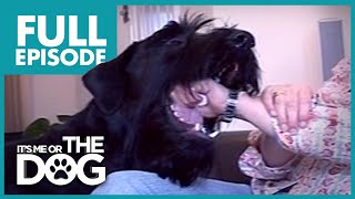 Thumbnail del capítulo