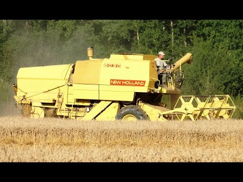 Mähdrescher New Holland 8030 Cabrio bei der Weizenernte in der Lüneburger Heide