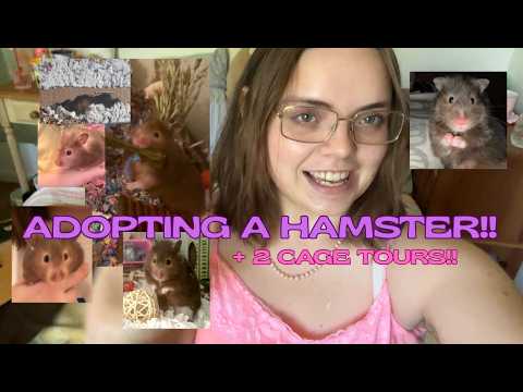 Animal Videos!'s tag thumbnail
