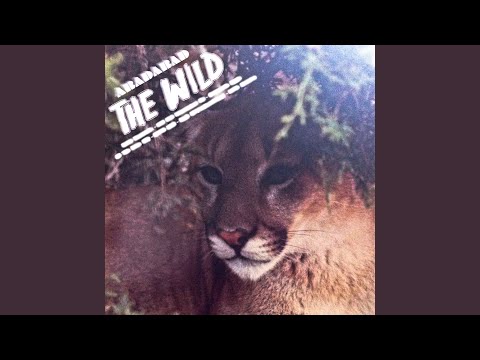 Will She Remember Me