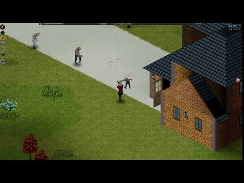 Steam Project Zomboid
