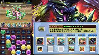 【パズドラ】ブラキディオスで極限の闘技場3の連中を鉄拳制裁！
