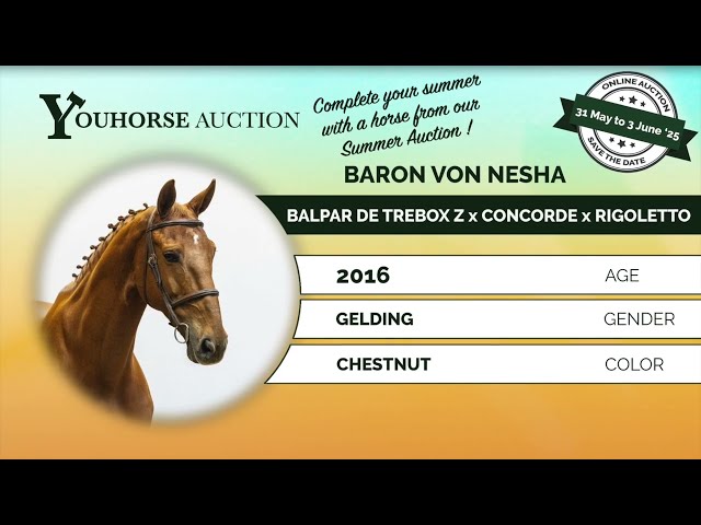 Baron von Nesha showvideo outdoor