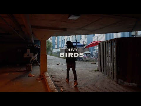 Duvy | Birds (Official video)