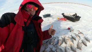 Рыбалка в рубцовском районе алтайского края