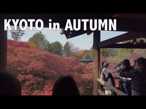 Kyoto’s Autumn | Peak Fall Colors at Tofuku-ji