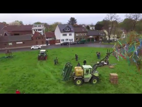 Fliesteden Maibaum Teil 1 (1/3), Maiguys