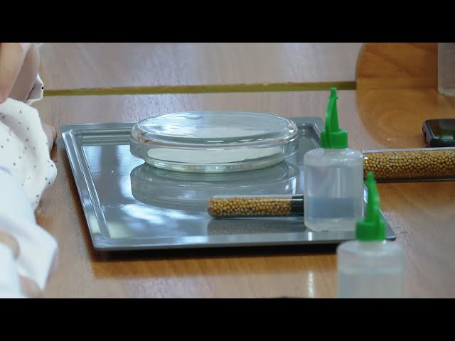 В Савватеевке работает единственная в АГО агробизнес-школа