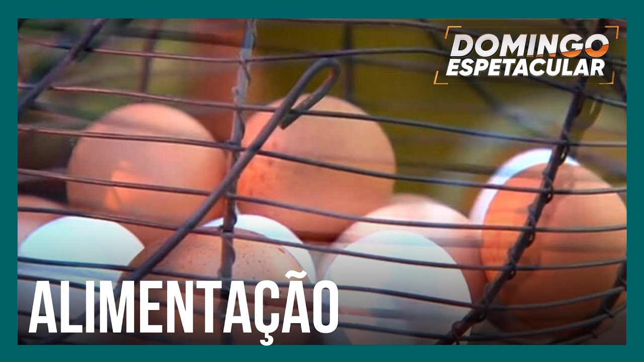 Mitos e Verdades: ovo branco, vermelho ou caipira, qual é melhor para saúde?