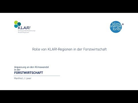 Rolle von KLAR! Regionen in der Forstwirtschaft