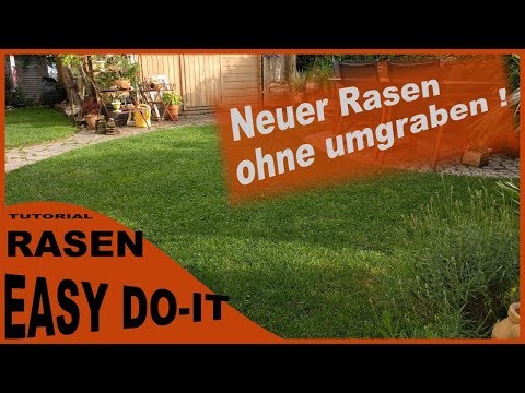 Alten Rasen neu anlegen ohne umgraben, Rasenfläche frisch ebnen