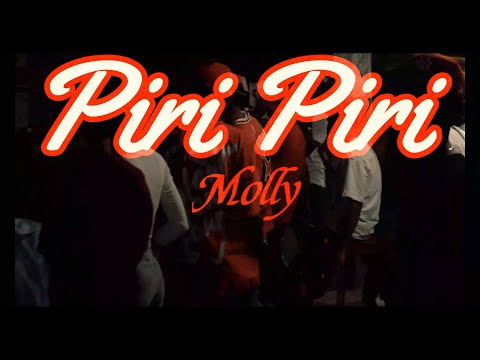 Piri Piri Molly 💊 - Xander La Evo (Video Official) @djleuryelantidoto4591