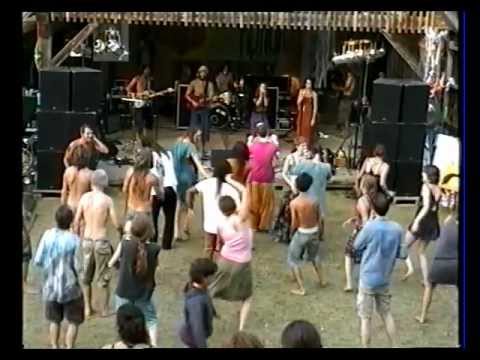 militant pazifists  free energy  live - heart culture 2012