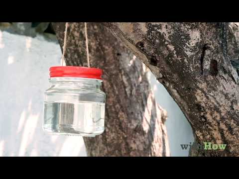 Kolibri Futter Herstellen