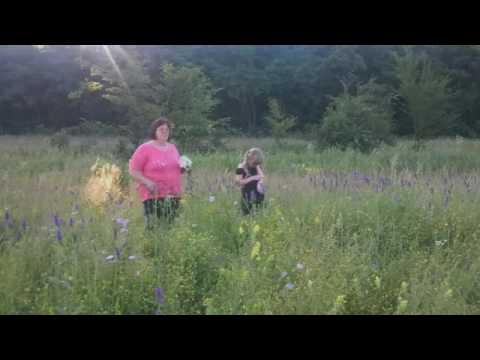 Petricani Petricani Story1