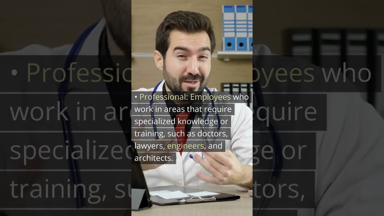 What are the categories of exempt employees under the FLSA?