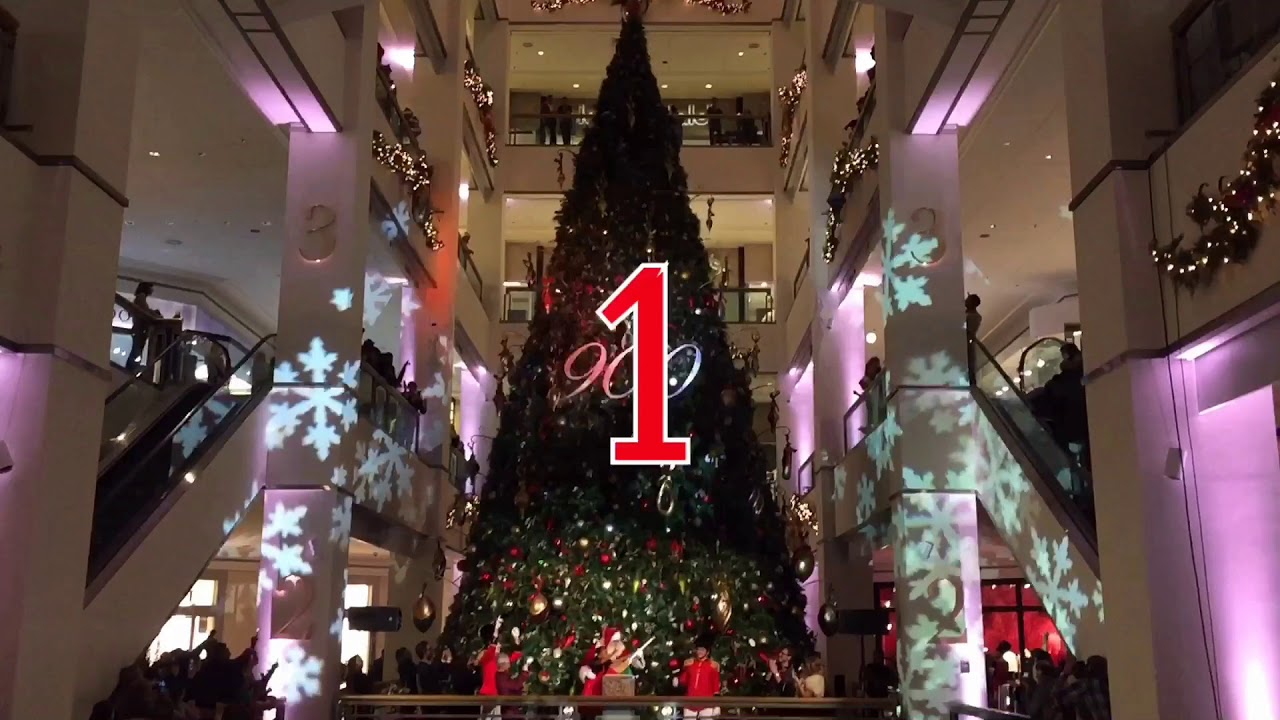 Christmas tree lighting countdown in Chicago