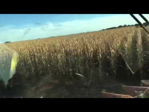 Ride in the combine (video)