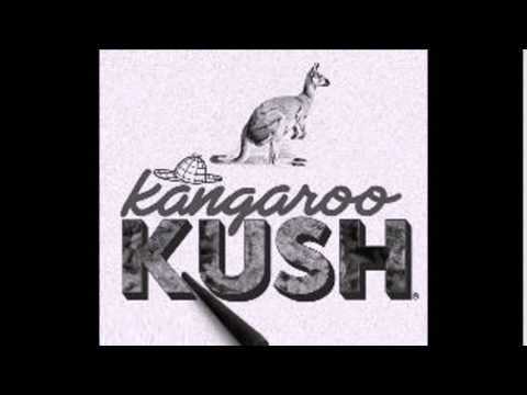 Kush And Kangaroos