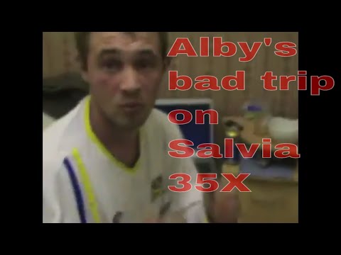 Alby Bad Trip Salvia 35X