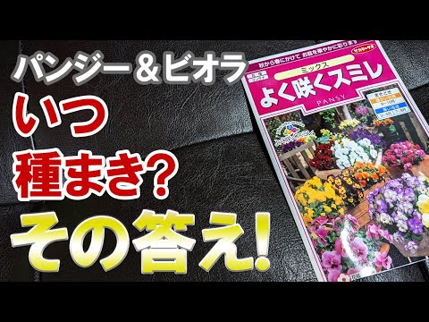 園芸 種まきを成功させるための 10 のヒント