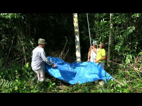 https://www.youtube.com/watch?v=1VqQcbzuScA&t=29s