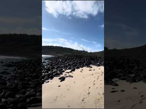 Paraíso Intocado! 🏝️🇧🇷 A beleza exuberante e o encanto natural de Fernando de Noronha em Pernambuco!