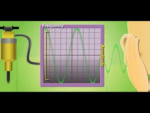 Scholastic - Study Jams - Sound
