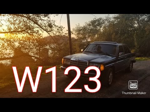 W123 LEFT ME STRANDED???  Voltage regulator