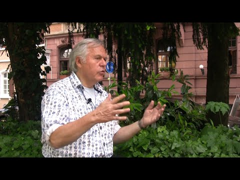 Welche Bedeutung hat Milton Erickson für Gunther Schmidt, Bernhard Trenkle und Michael Bohne?