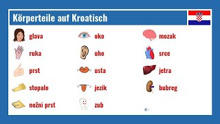 Körperteile auf Kroatisch